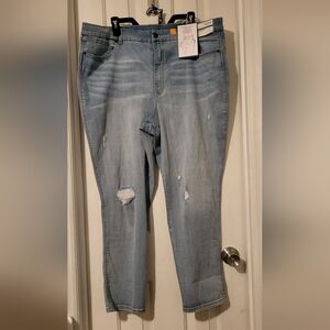 Brand New Arizona Jean Company Light Blue Skinny Jeans